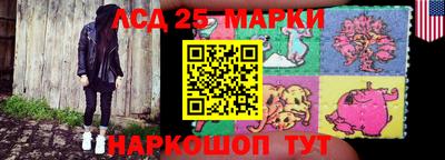 соль ск Сланцы
