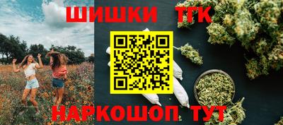 соль ск Сланцы