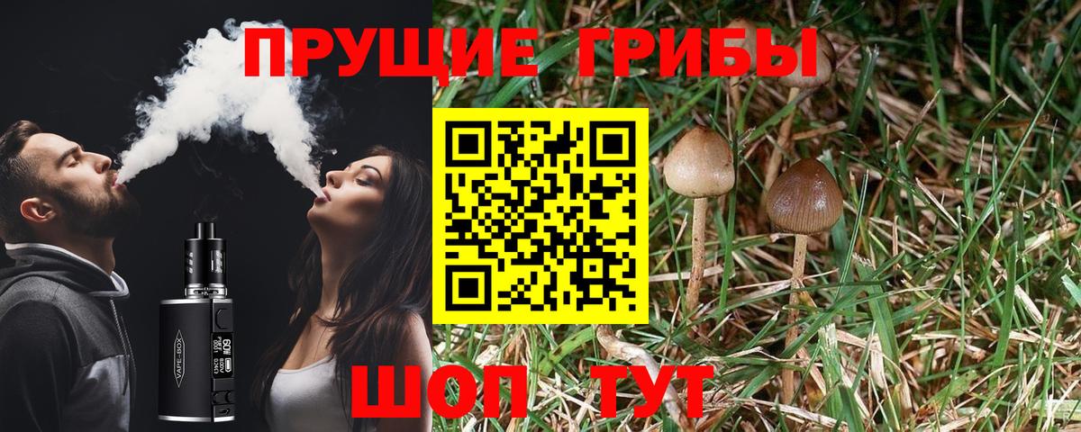 Нововоронеж  цены   Вход с VPN  Галлюциногенные грибы Magic Shrooms 
