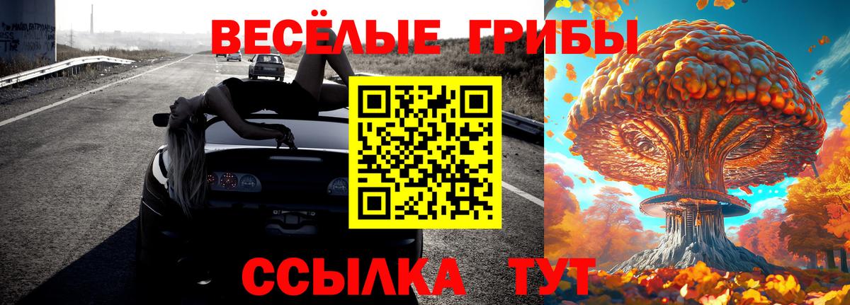 Галлюциногенные грибы MAGIC MUSHROOMS Нововоронеж